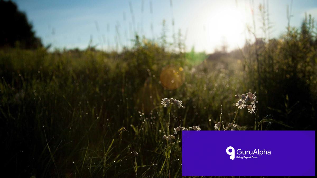 Chennai's Fisherfolk: A Precarious Battle for Survival Amid Urban Chaos